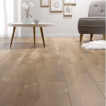 Ламинат Homflor Strong Pablo 526