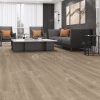 Ламинат Alpine Floor Дуб Кашемир Р 1001