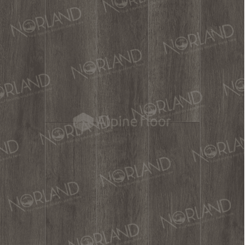 SPC ламинат Norland Sigrid Plus Baggy 1006-2
