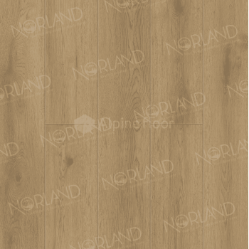 SPC ламинат Norland Sigrid Plus Blake 1006-10