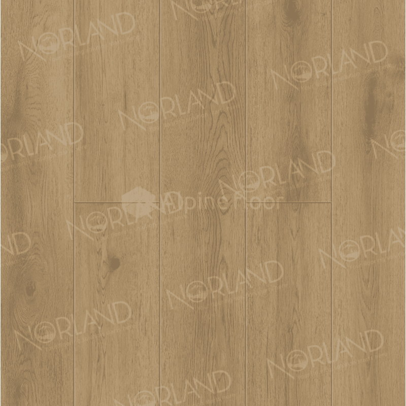 SPC ламинат Norland Sigrid Plus Blake 1006-10